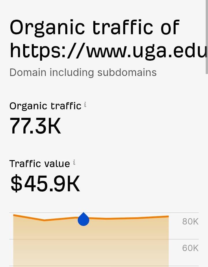 Digital Marketing Report